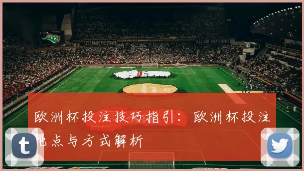 欧洲杯投注技巧指引:欧洲杯投注地点与方式解析